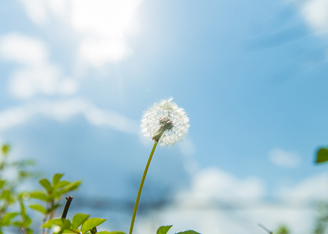 秋冬新品展覽周末上演